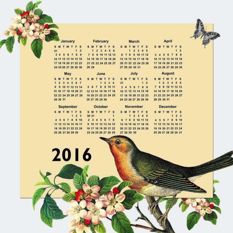 calendar 2016, 2016, calendar